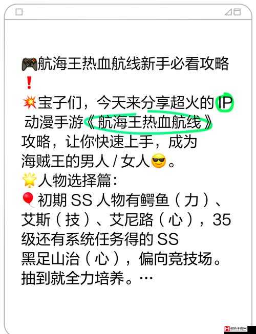 航海王热血航线SSR角色任选，全面解析与最优选择攻略